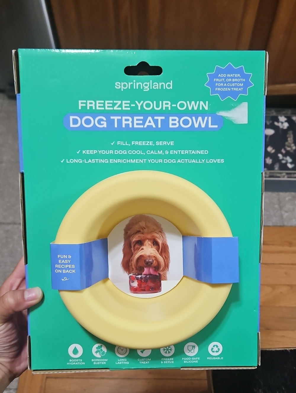 Springland Yellow Freeze-Your-Own Dog Treat Bowl